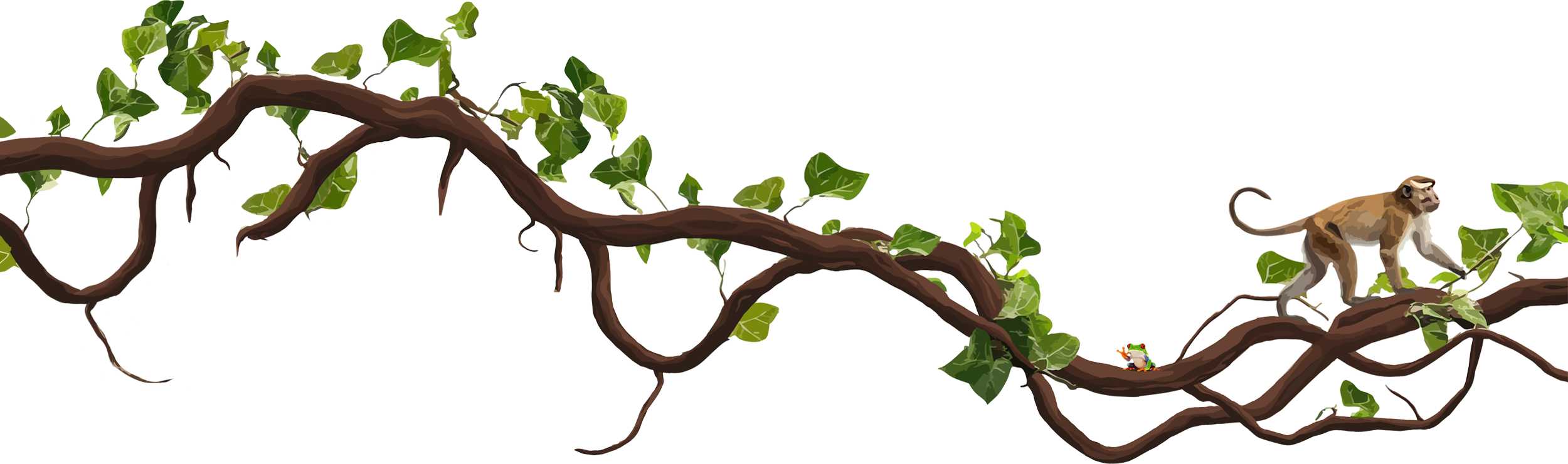 Illustration of a jungle branch