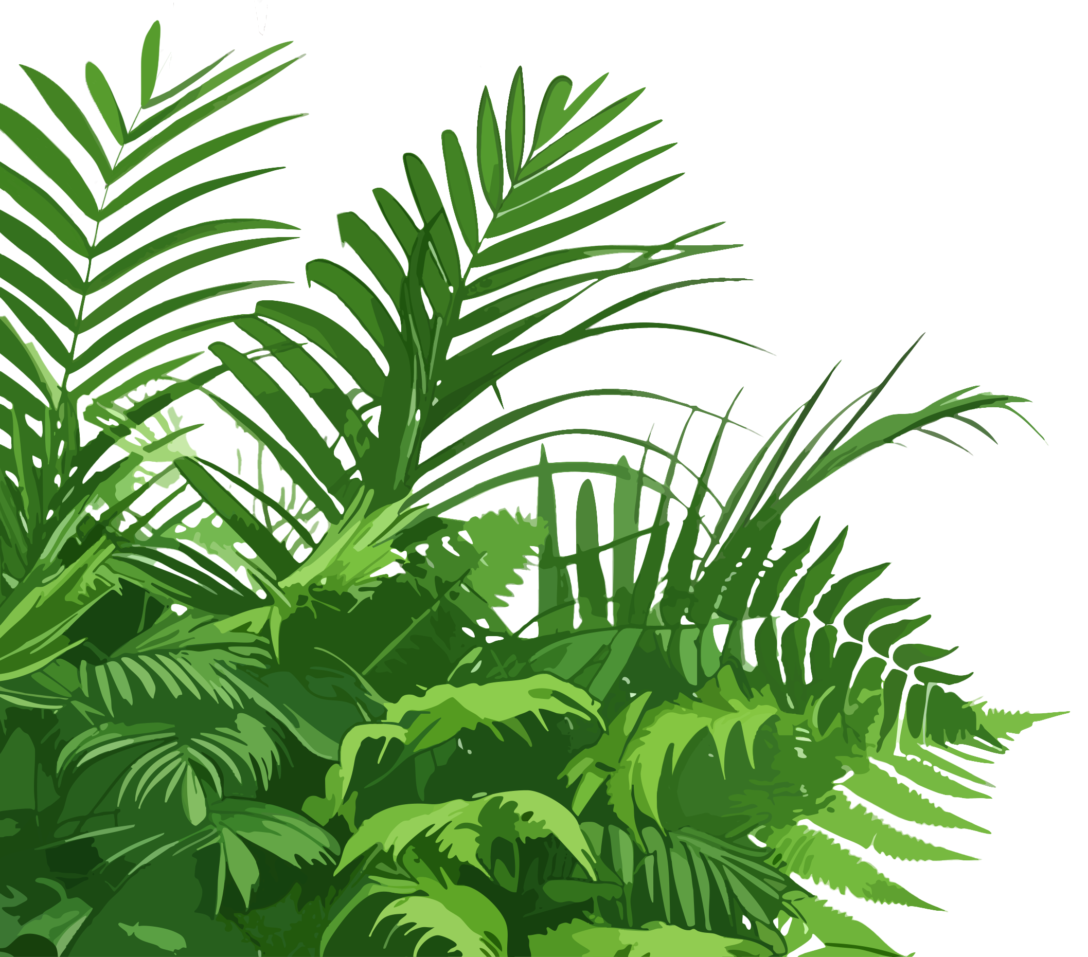 Illustration of foliage
